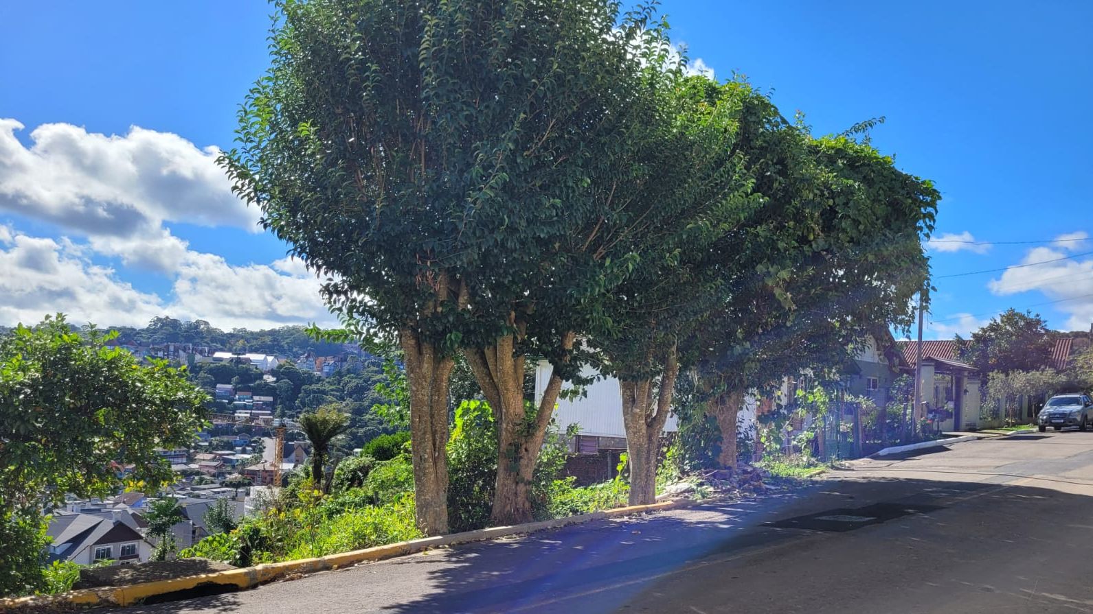 Lote para venda no bairro Piratini em Gramado