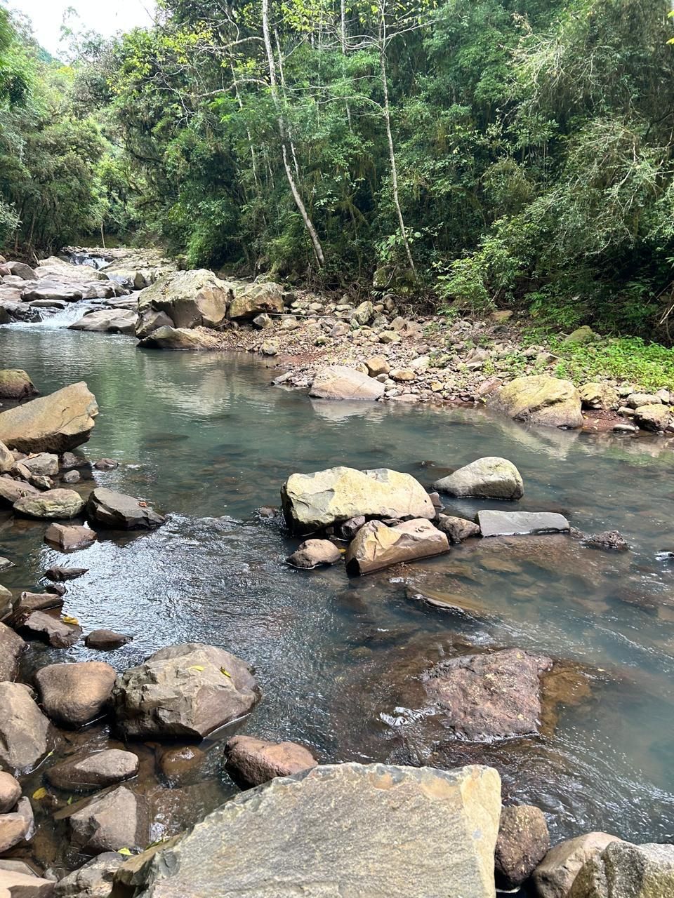 Chácara para venda no bairro Santa Lúcia do Piaí em Caxias do Sul