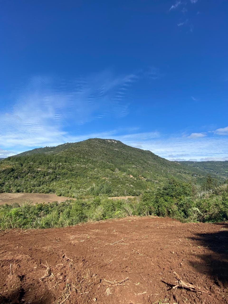 Chácara para venda no bairro Santa Lúcia do Piaí em Caxias do Sul