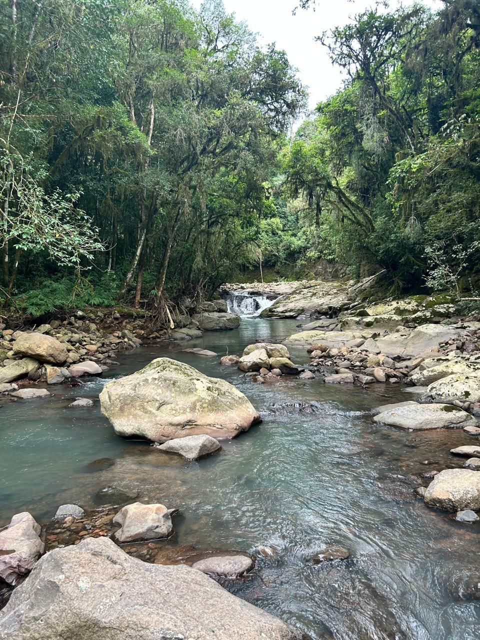 Chácara para venda no bairro Santa Lúcia do Piaí em Caxias do Sul