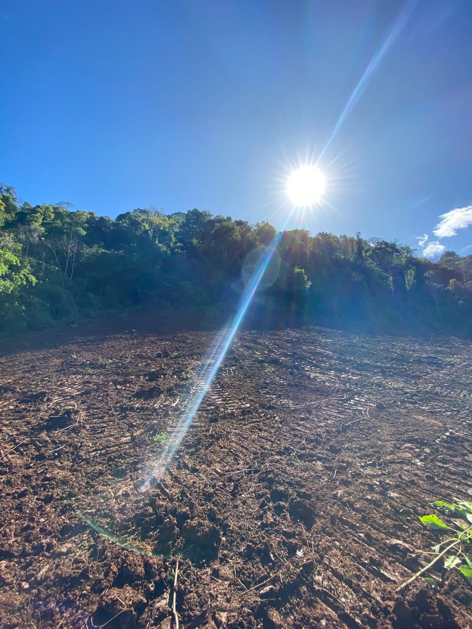 Chácara para venda no bairro Santa Lúcia do Piaí em Caxias do Sul