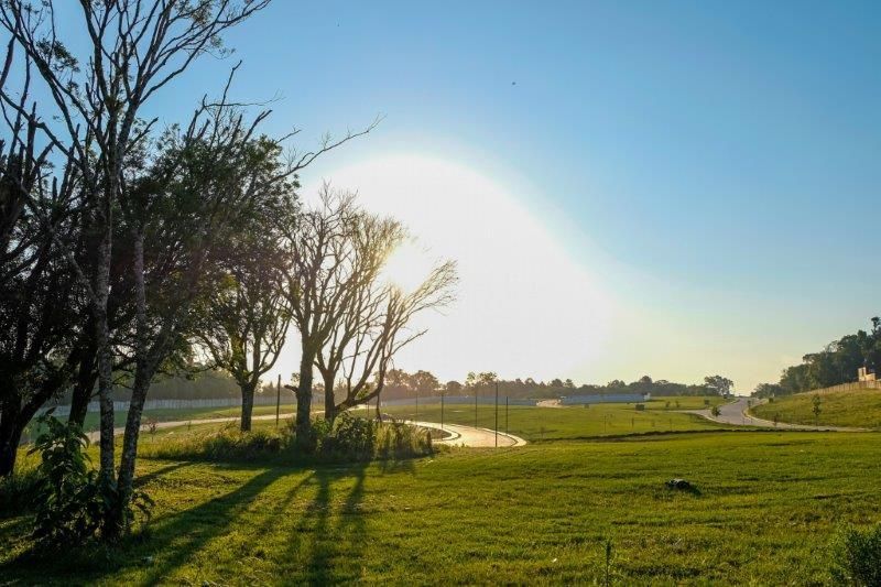 Lote para venda no bairro Pedancino em Caxias do Sul