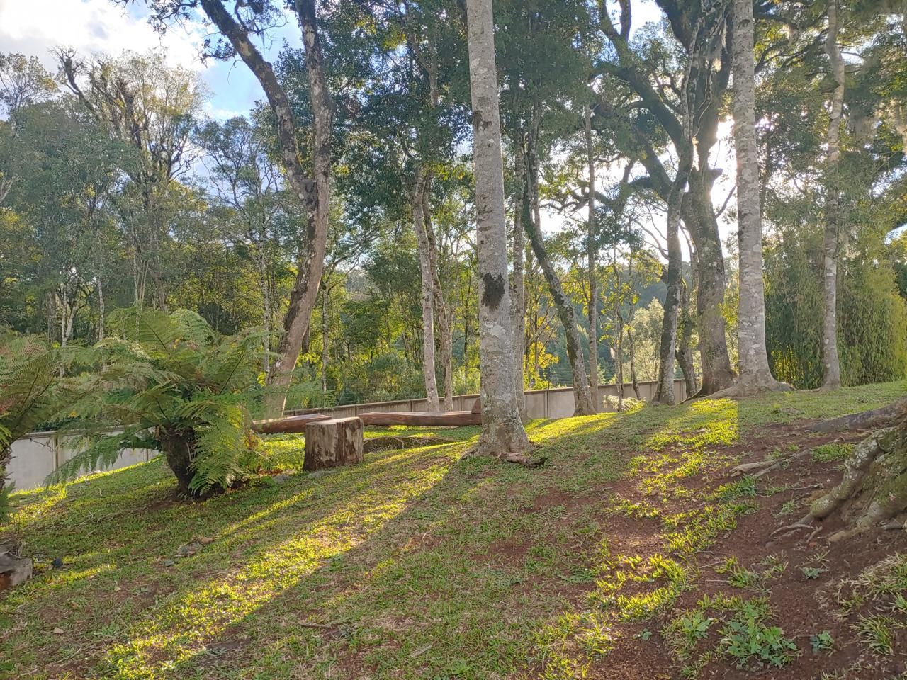 Lote para venda no bairro Pedancino em Caxias do Sul