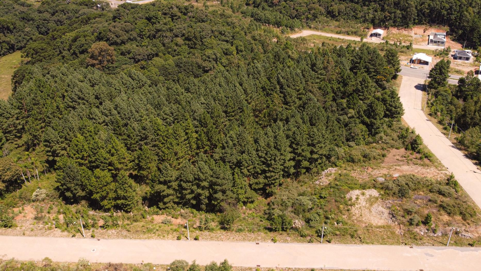 Casa 3 quartos sendo 1 suíte para venda no bairro Alfândega em Garibaldi