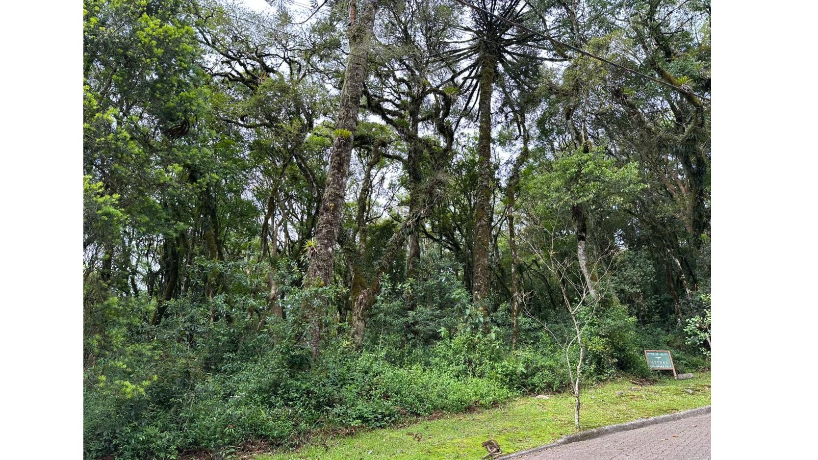 Lote para venda no bairro Parque Pinheiro Grosso em Canela