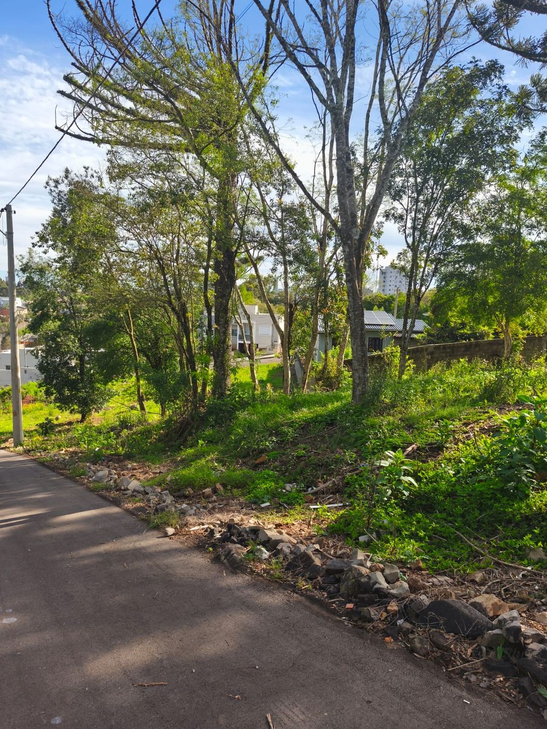 Terreno para venda no bairro Petrópolis em Passo Fundo