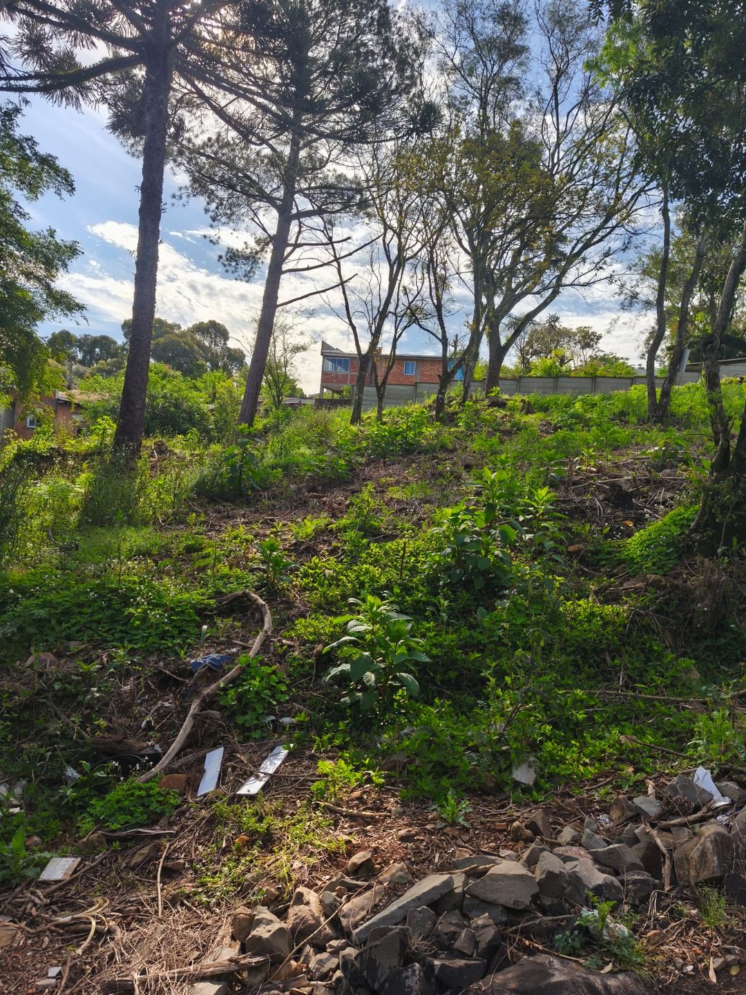Terreno para venda no bairro Petrópolis em Passo Fundo