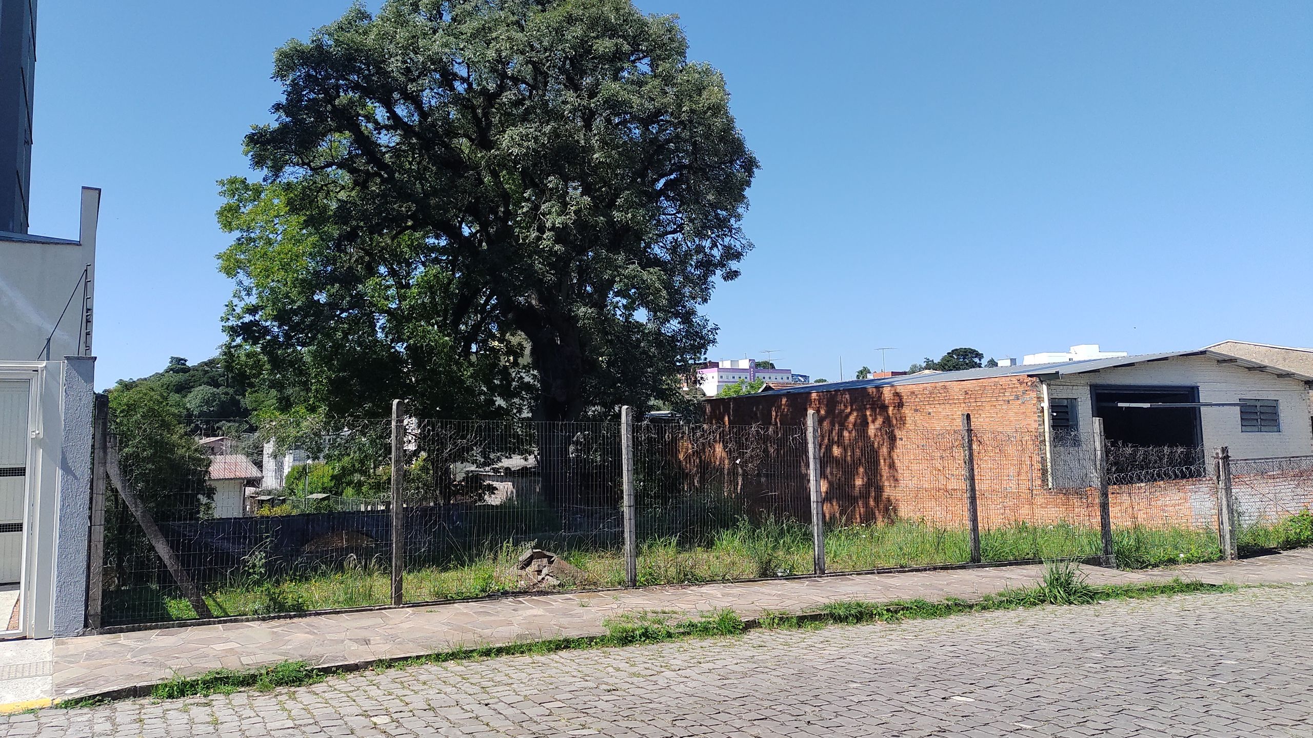Terreno Padrão para venda no bairro Presidente Vargas em Caxias do Sul
