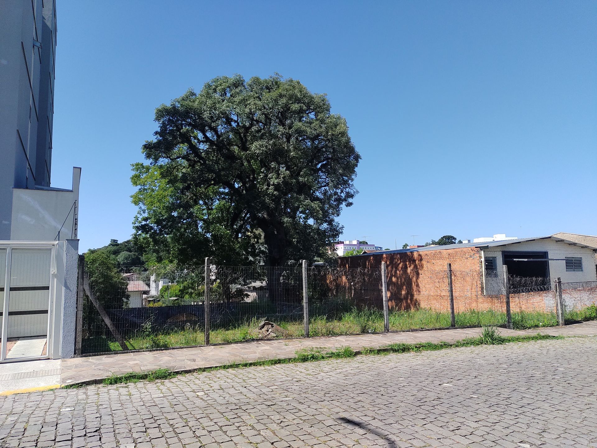 Terreno Padrão para venda no bairro Presidente Vargas em Caxias do Sul
