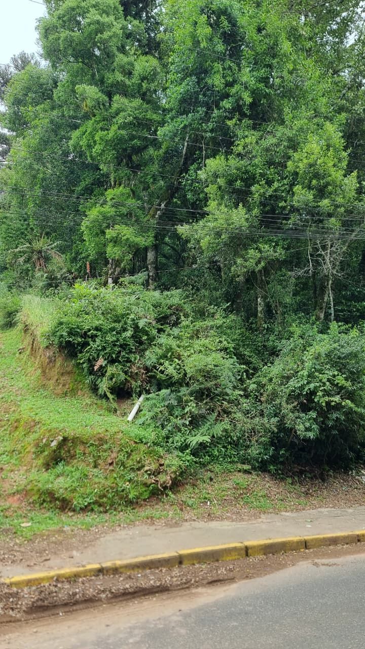 Terreno Padrão para venda no bairro Moura em Gramado