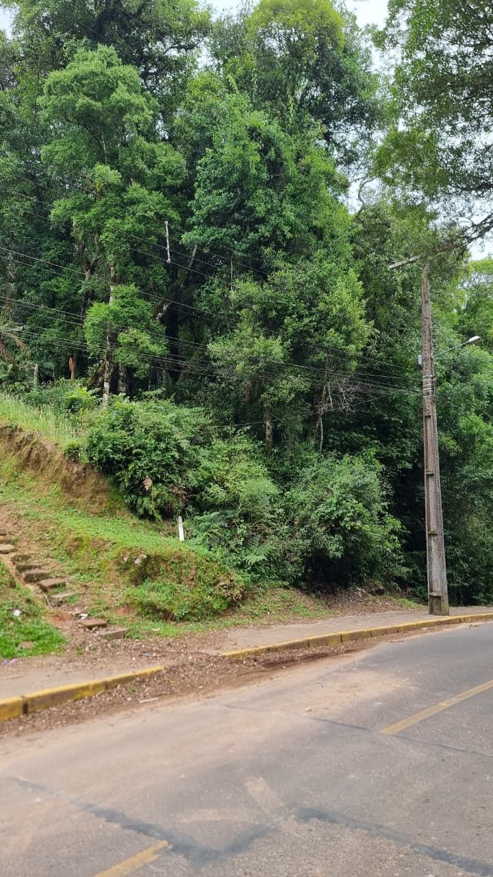 Terreno Padrão para venda no bairro Moura em Gramado