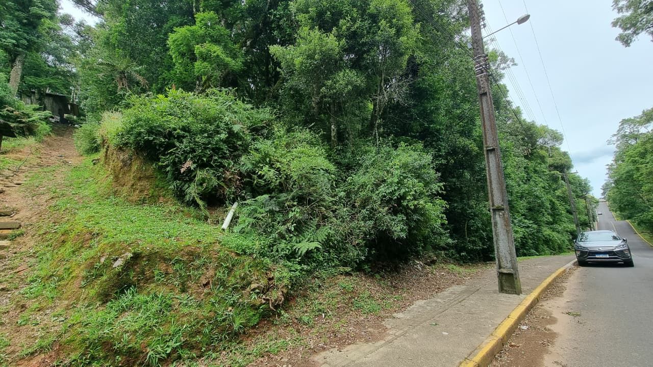 Terreno Padrão para venda no bairro Moura em Gramado