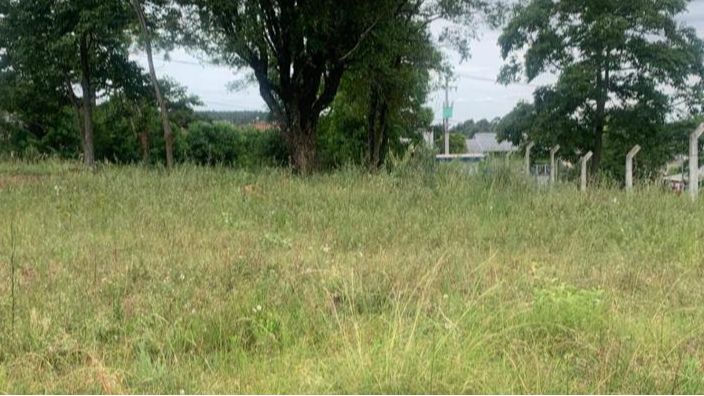 Terreno para venda no bairro Vera Cruz em Passo Fundo