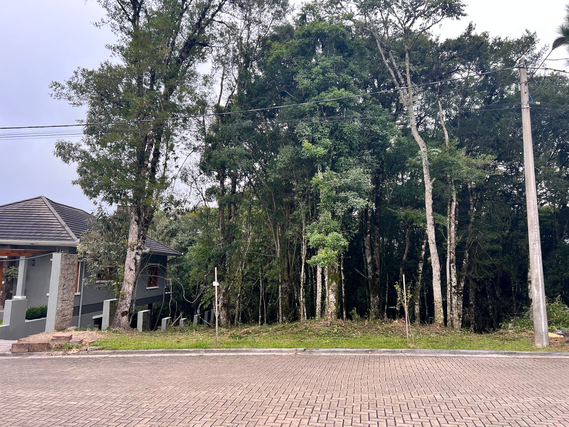 Lote para venda no bairro Carniel em Gramado