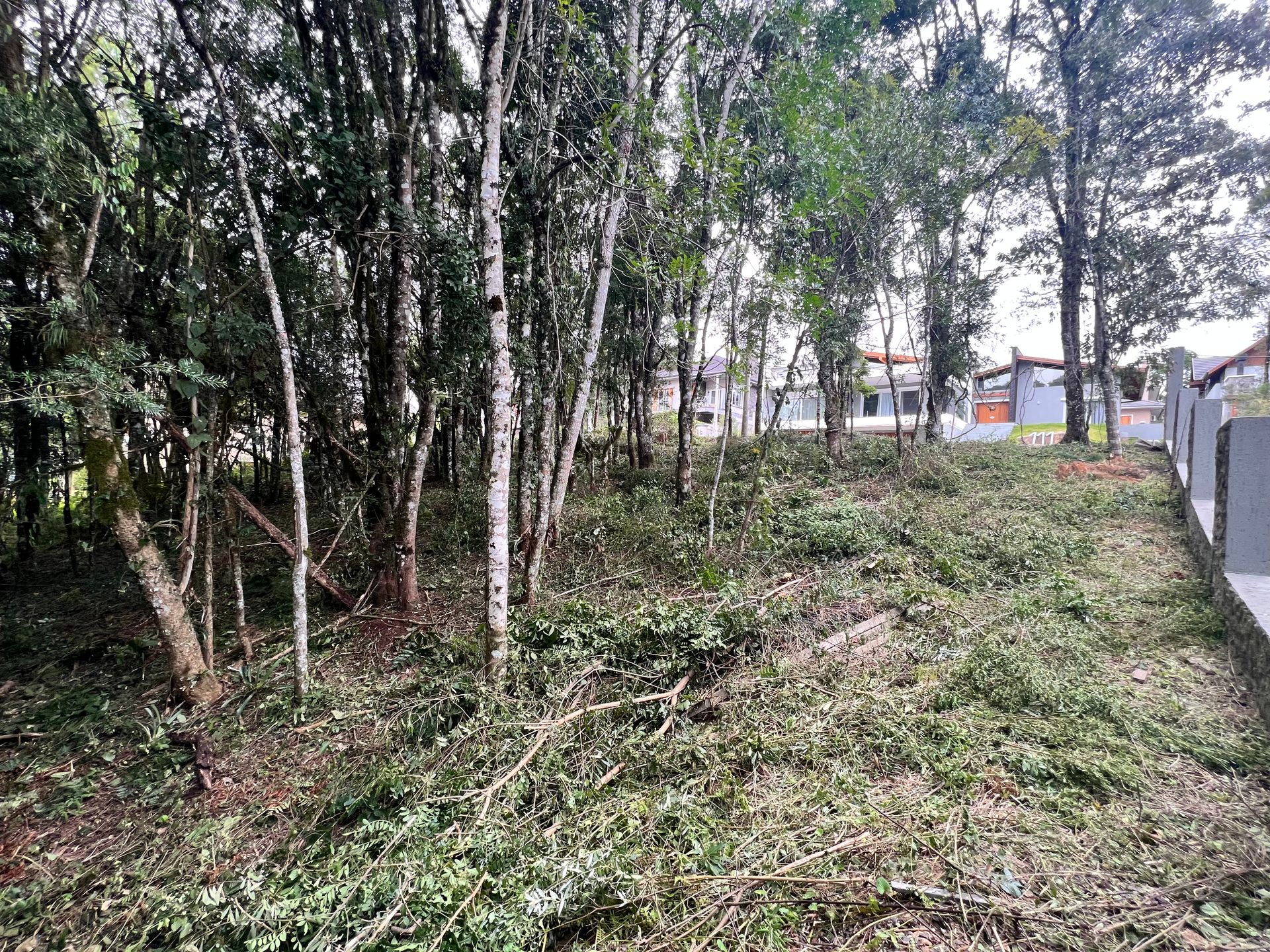 Lote para venda no bairro Carniel em Gramado