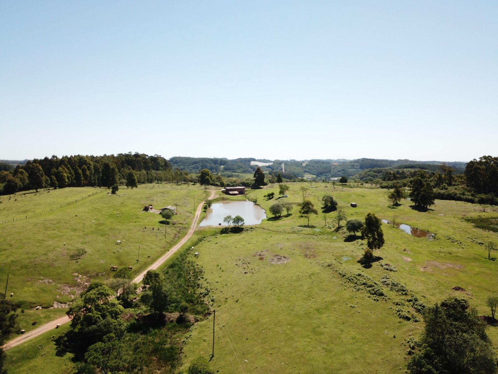 Chácara para venda no bairro Nova Sardenha em Farroupilha