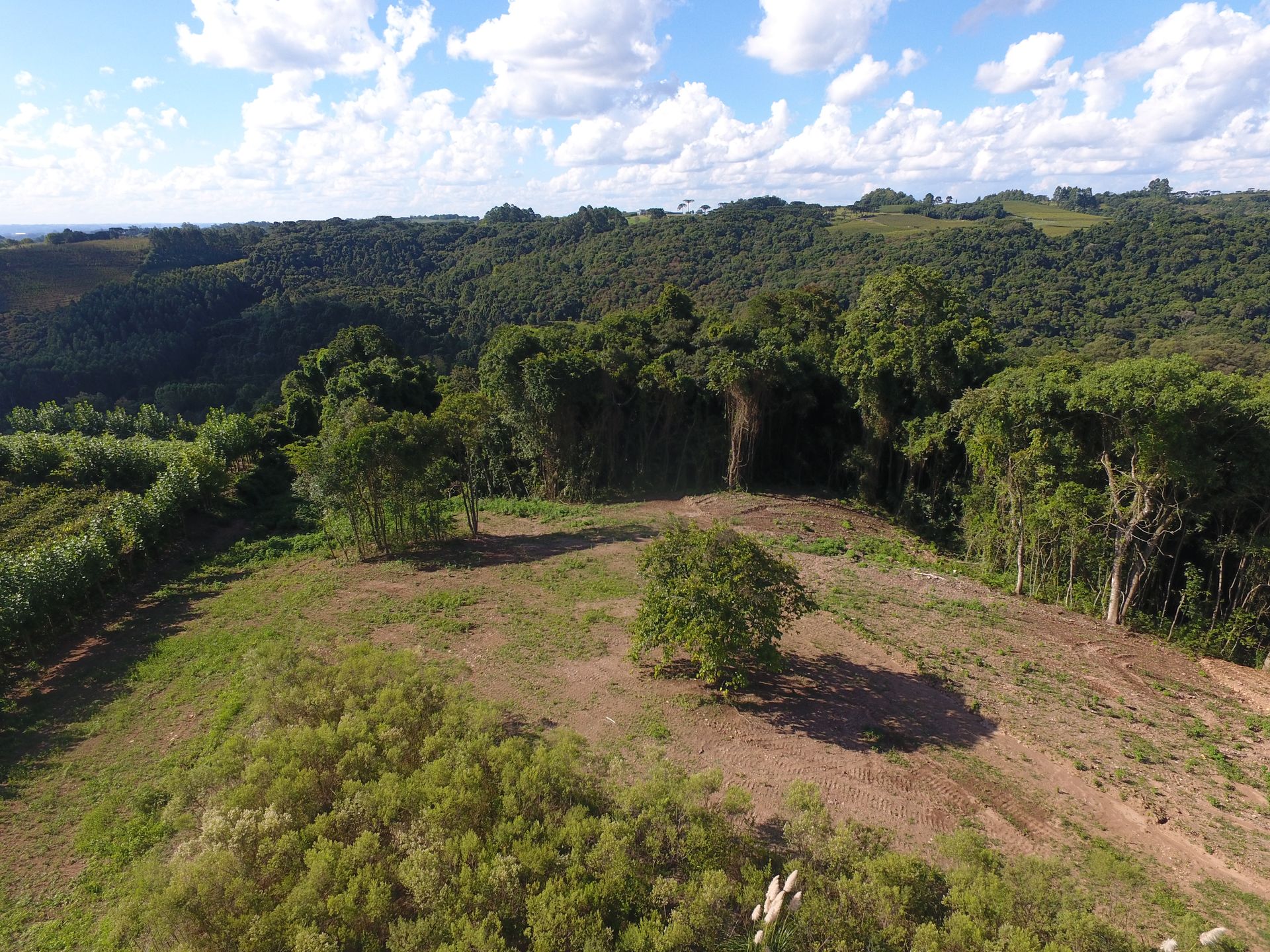Terreno para venda no bairro Barracão em Bento Gonçalves