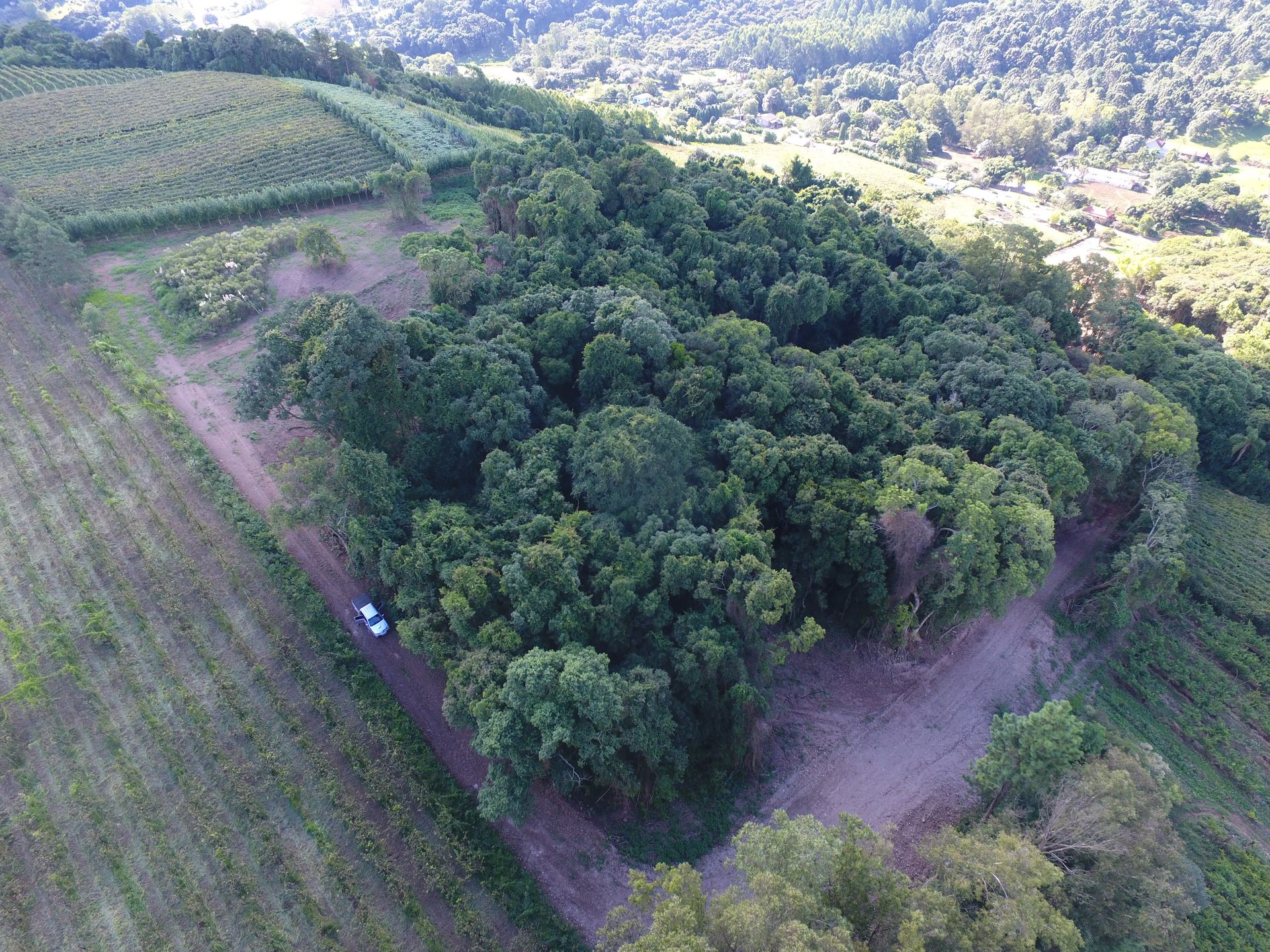 Terreno para venda no bairro Barracão em Bento Gonçalves