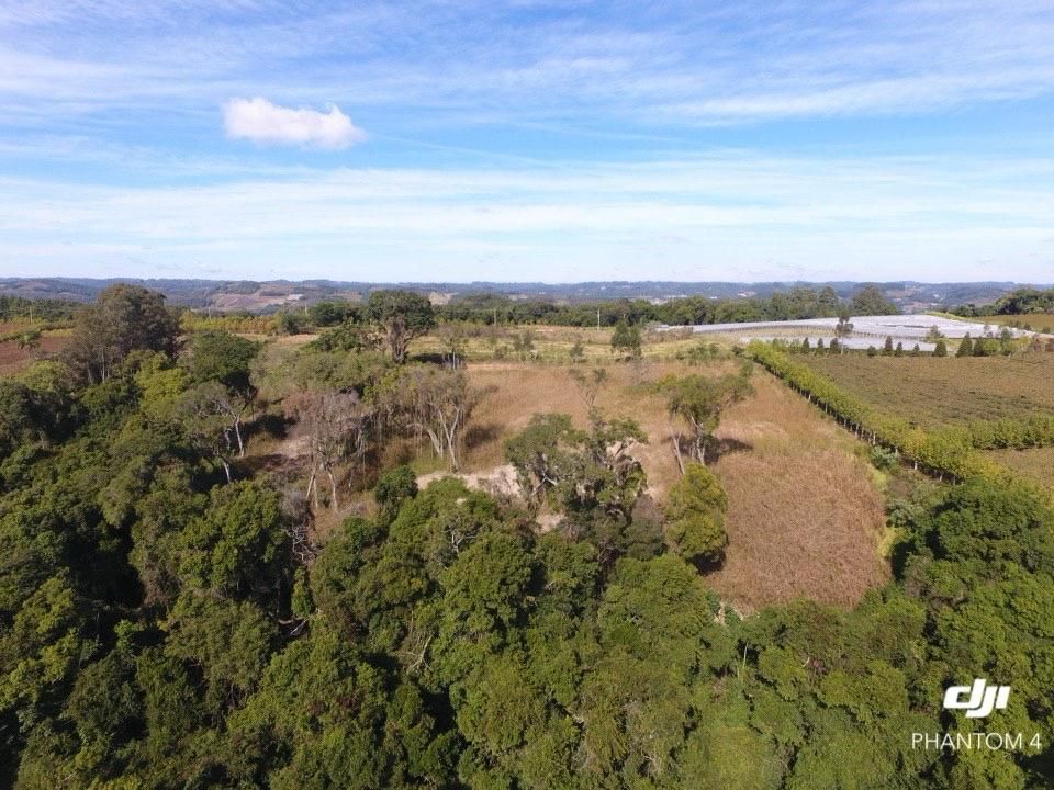 Terreno Padrão para venda no bairro Barracão em Bento Gonçalves