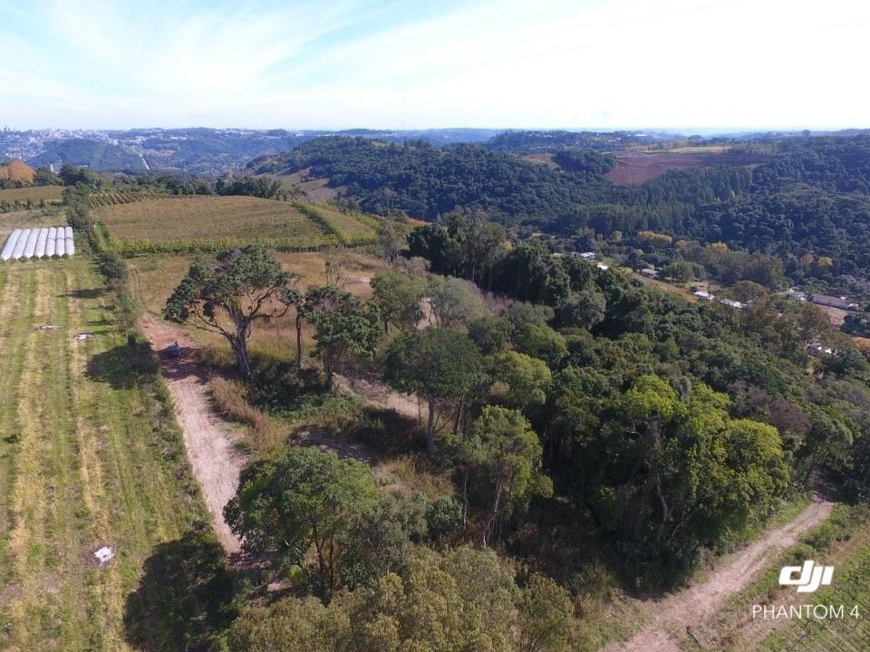 Terreno Padrão para venda no bairro Barracão em Bento Gonçalves