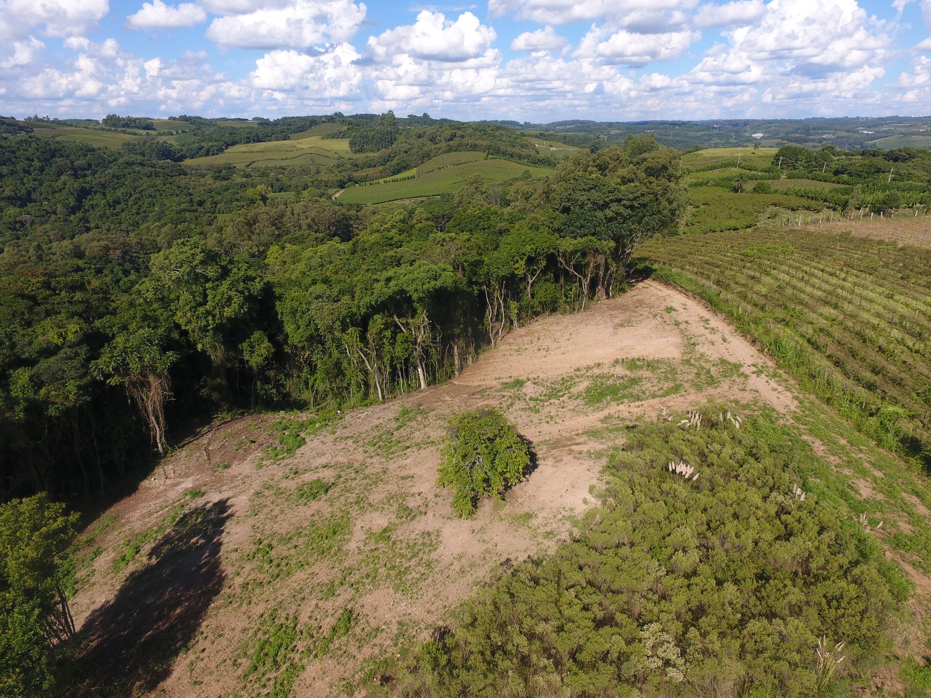 Terreno para venda no bairro Barracão em Bento Gonçalves