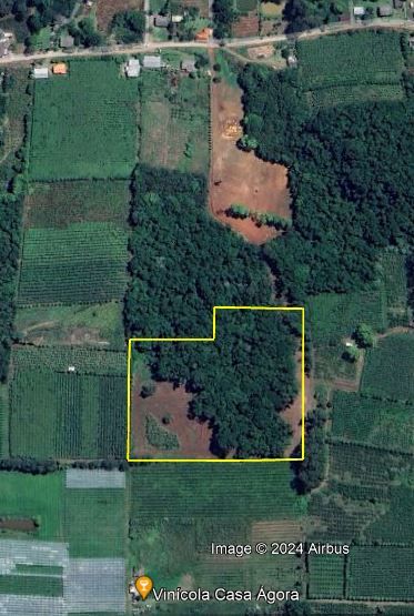 Terreno para venda no bairro Barracão em Bento Gonçalves