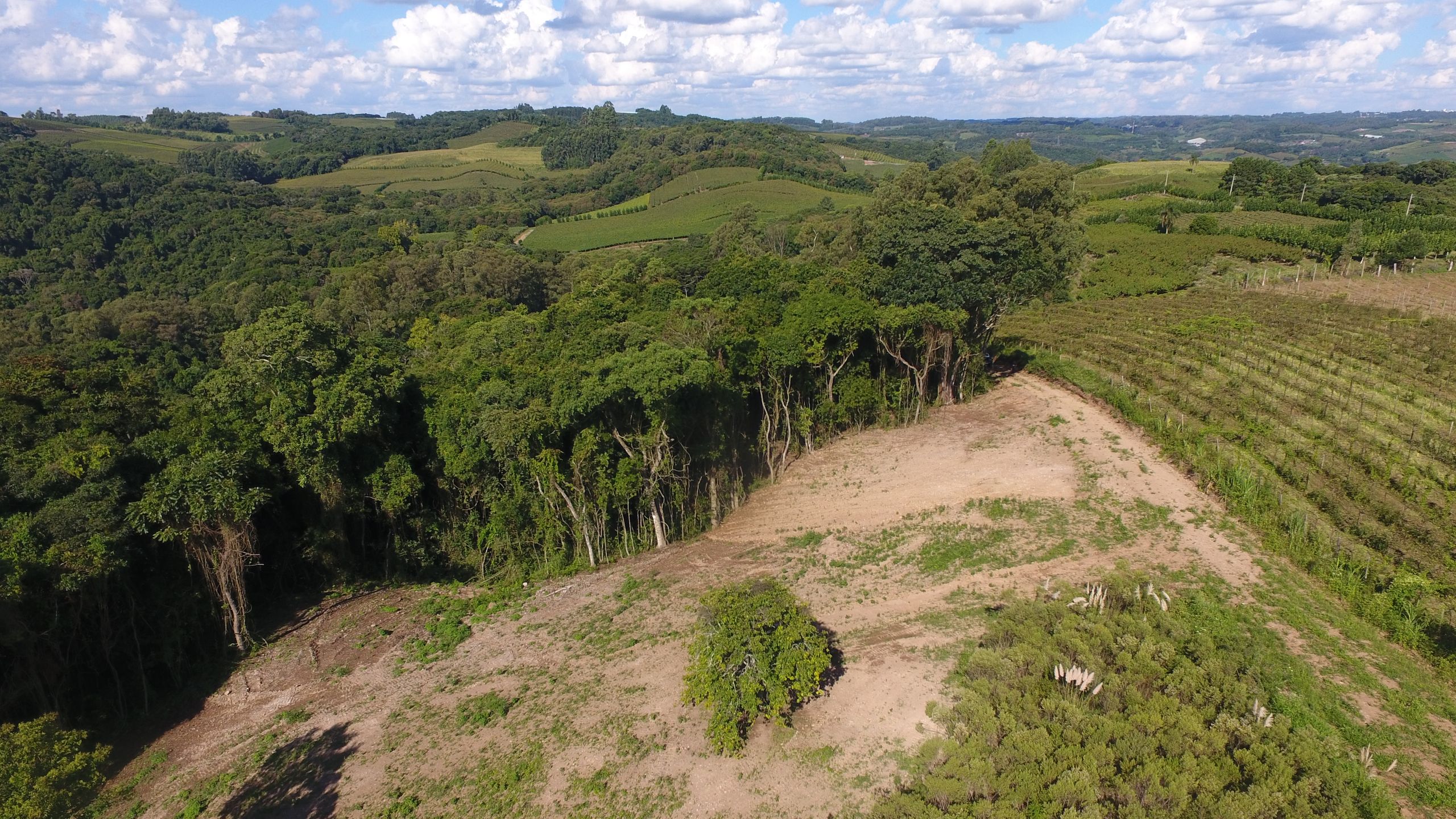 Terreno para venda no bairro Barracão em Bento Gonçalves
