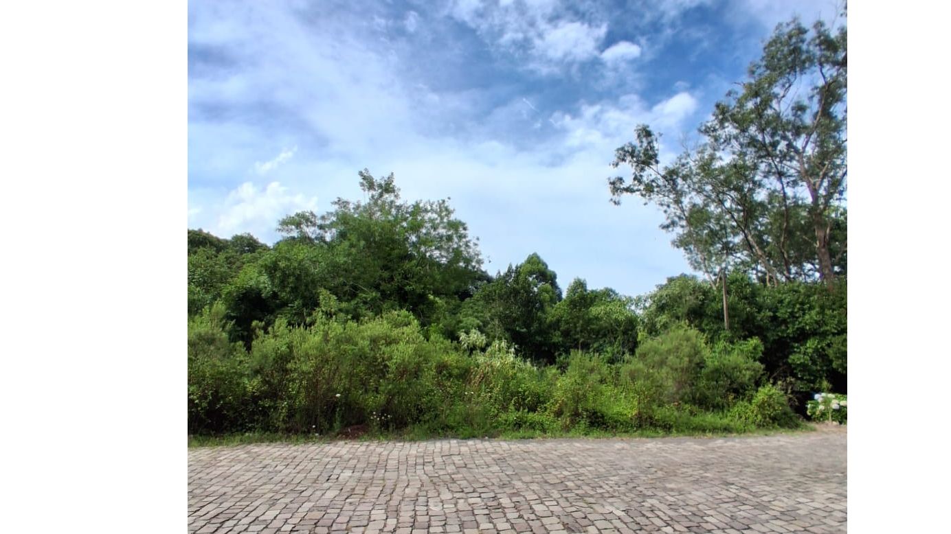 Terreno para venda no bairro Santo Antão  em Bento Gonçalves