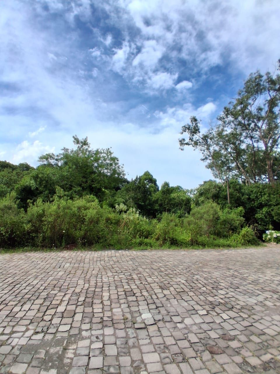 Terreno para venda no bairro Santo Antão  em Bento Gonçalves
