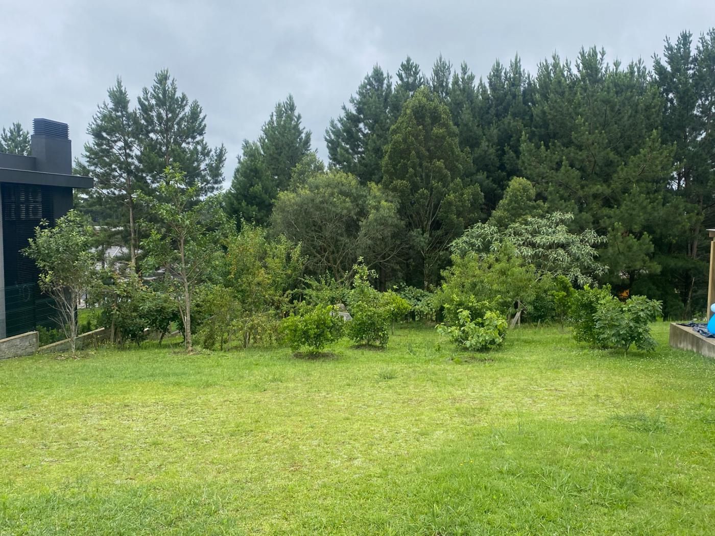 Terreno para venda no bairro Mato Queimado em Gramado