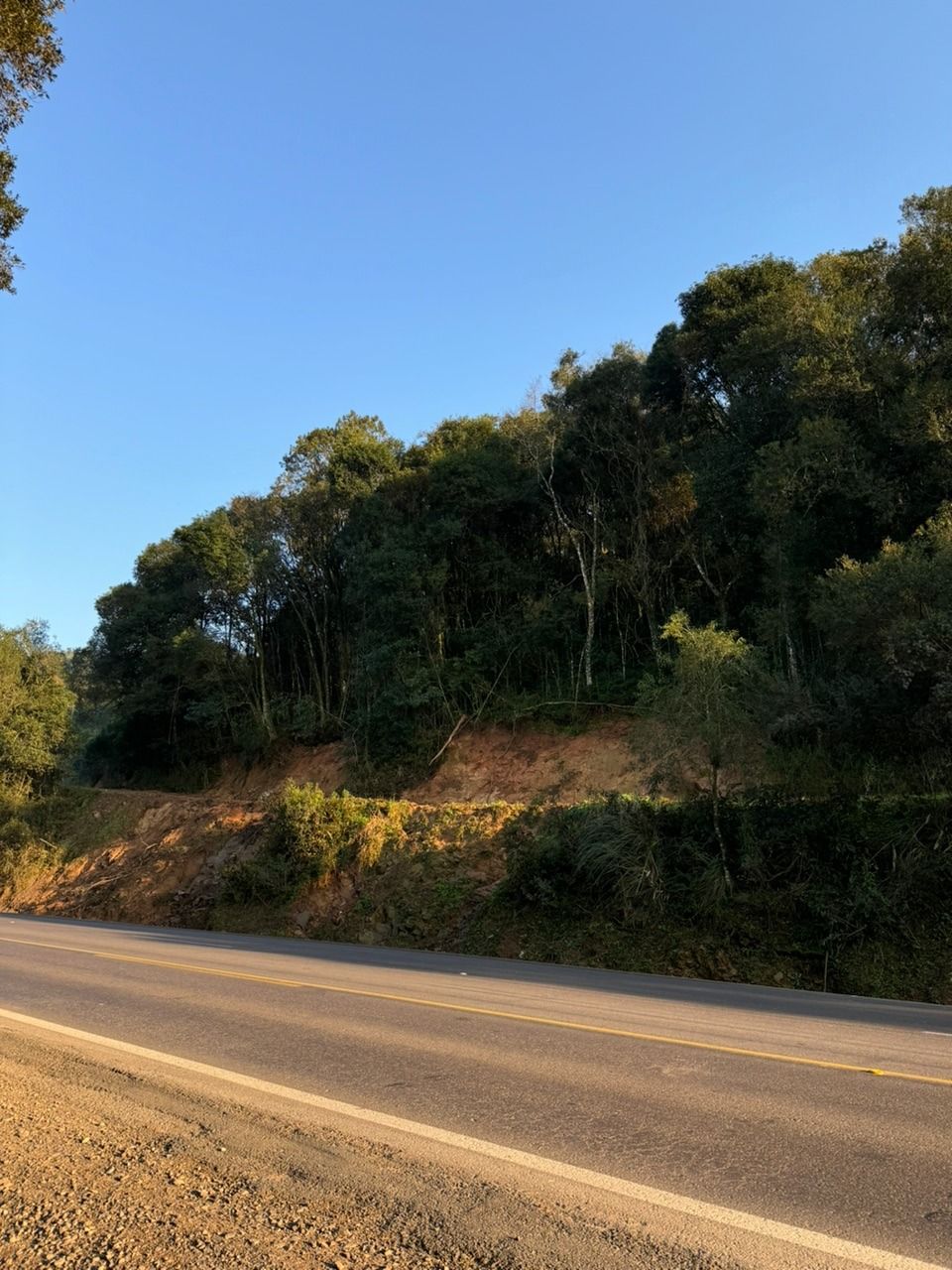 Lote para venda no bairro Linha Sertorina em Farroupilha