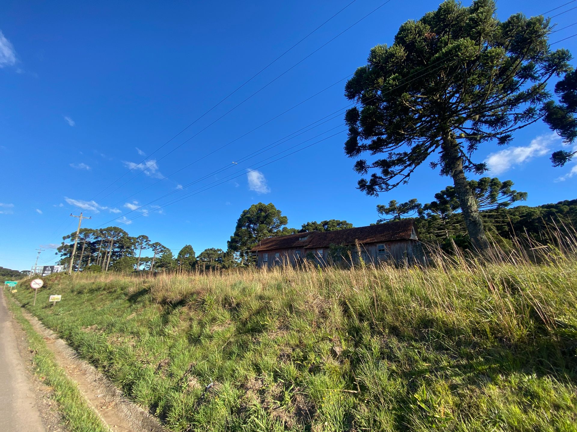Terreno Padrão para venda no bairro  em São Francisco de Paula
