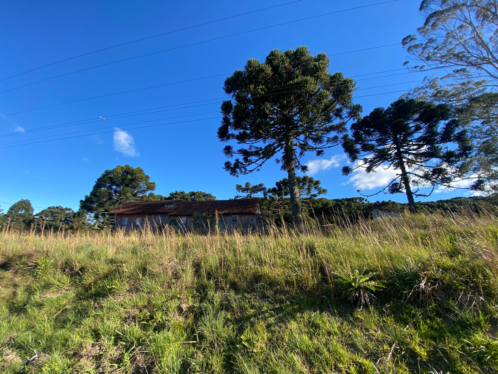 Terreno Padrão para venda no bairro  em São Francisco de Paula