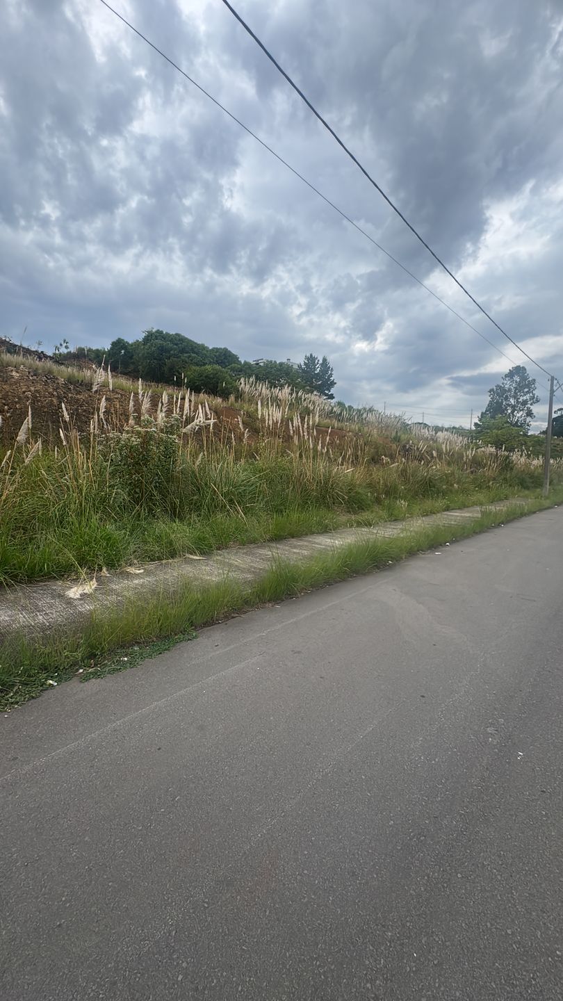 Lote para venda no bairro Sanvitto em Caxias do Sul