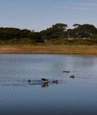 Sala comercial para venda no bairro Prainha em Torres