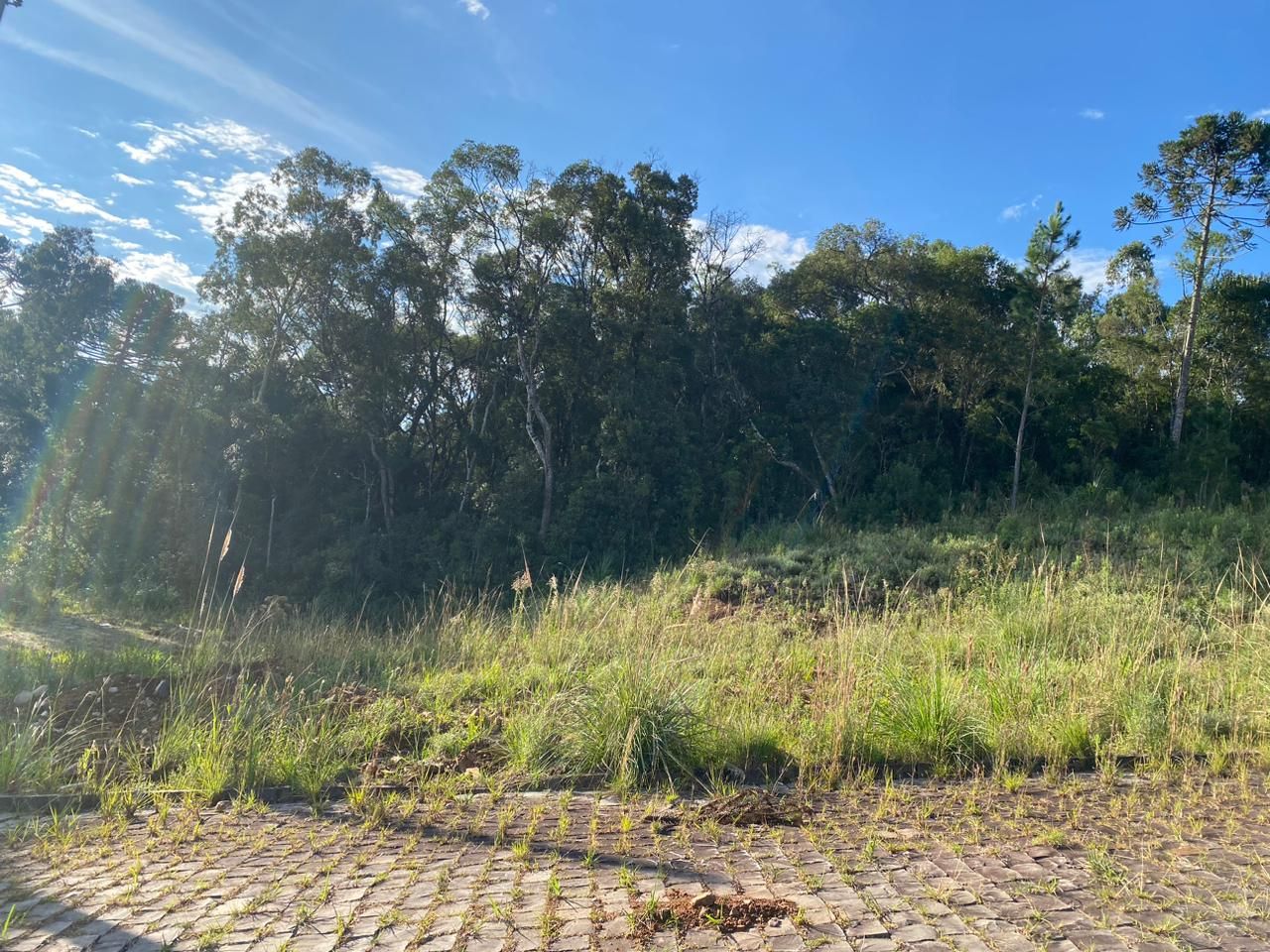 Terreno para venda no bairro Parada Cristal em Caxias do Sul