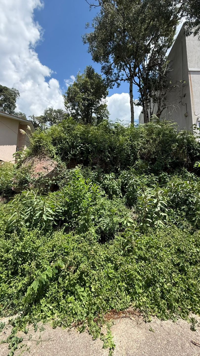 Terreno para venda no bairro  em Bento Gonçalves