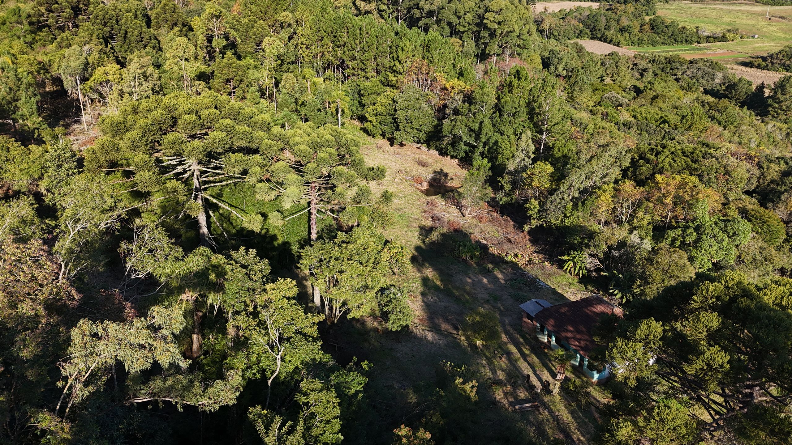 Lote para venda no bairro Campestre do Tigre em Gramado