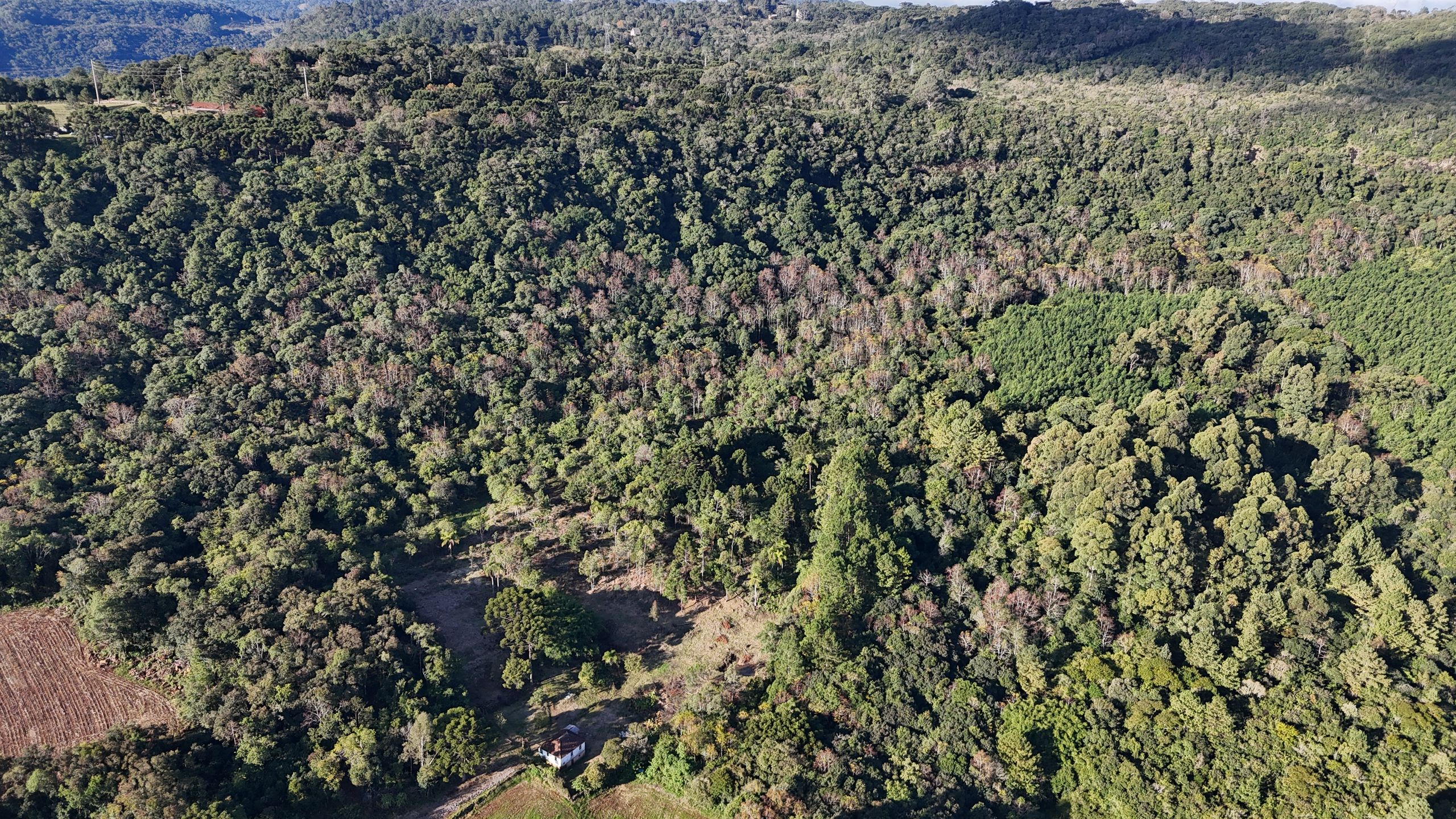 Lote para venda no bairro Campestre do Tigre em Gramado