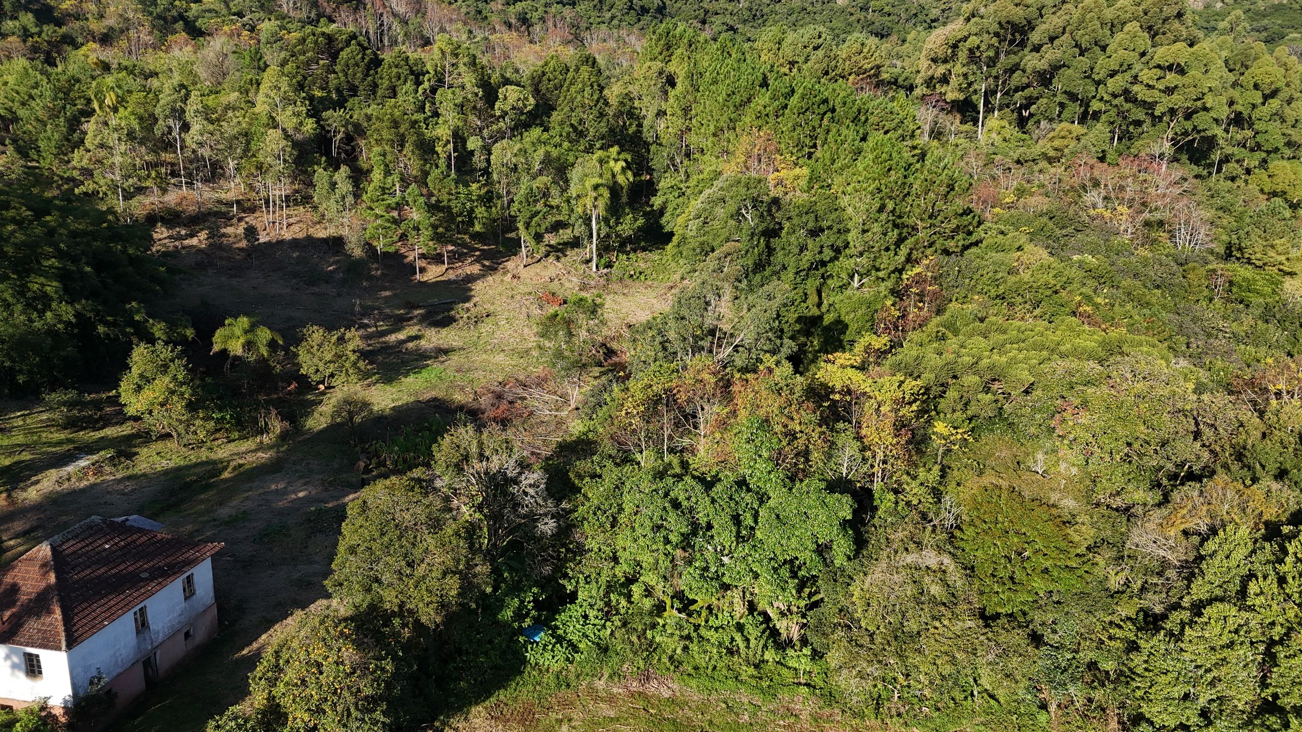 Lote para venda no bairro Campestre do Tigre em Gramado
