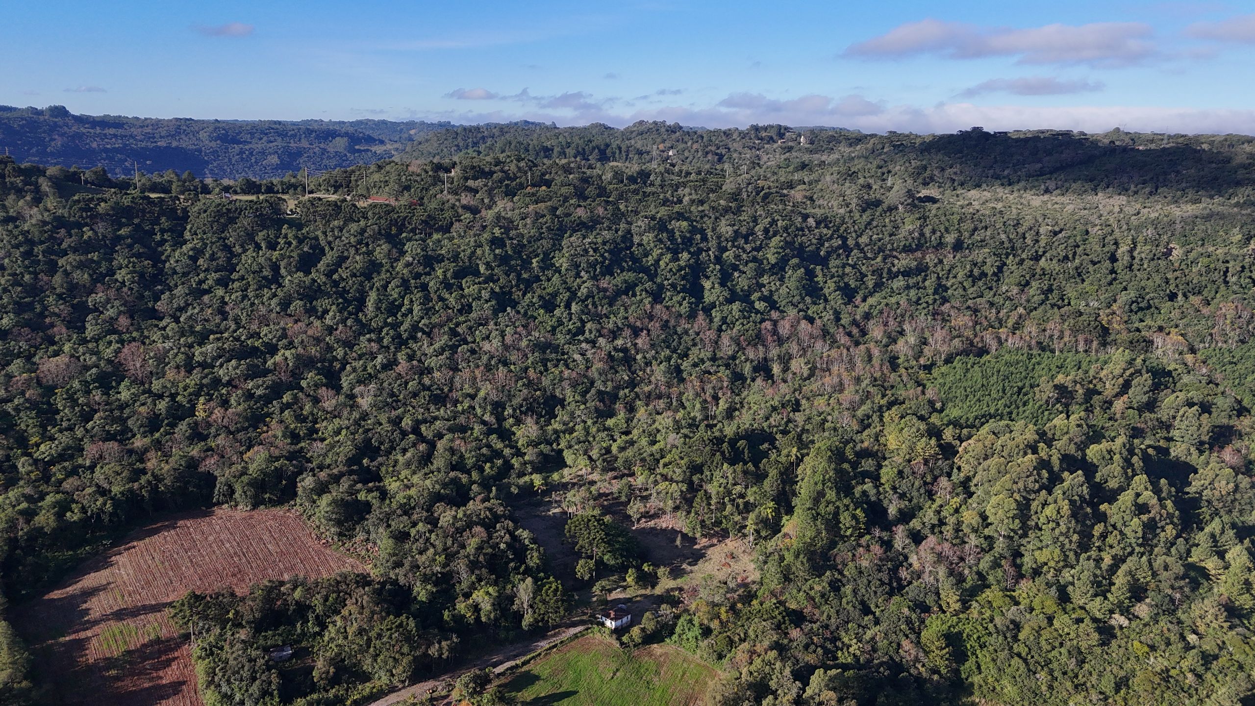 Lote para venda no bairro Campestre do Tigre em Gramado