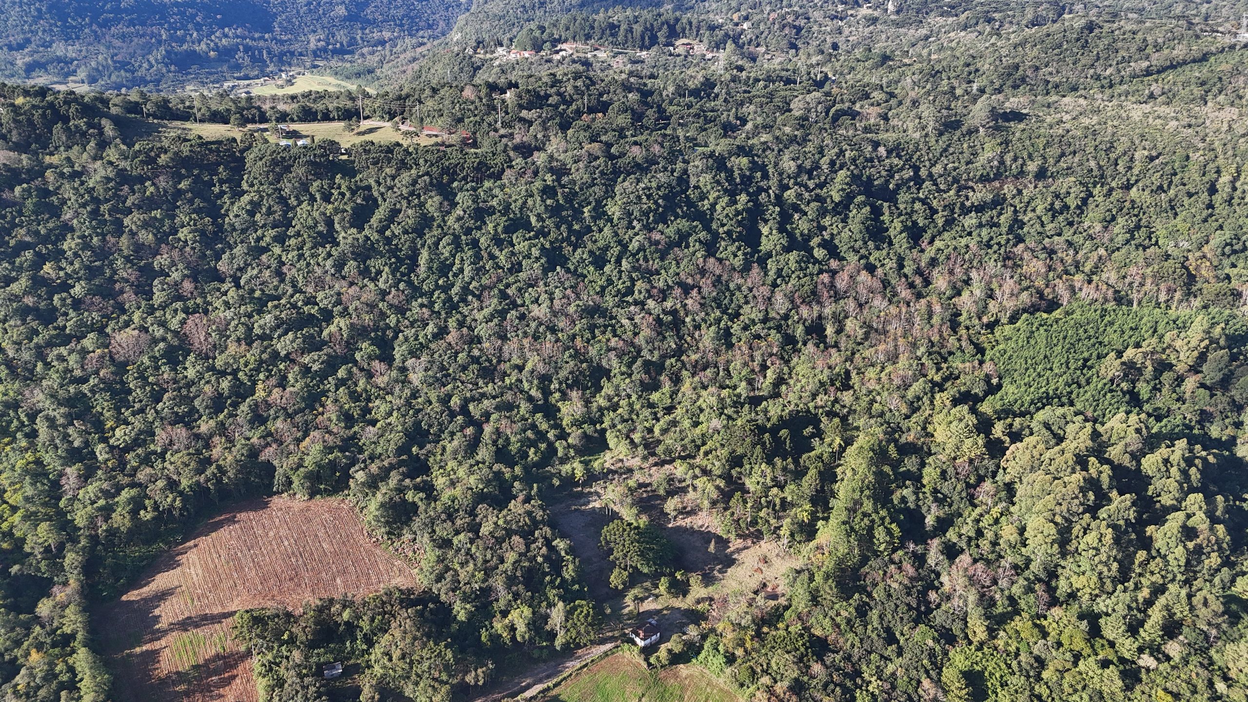 Lote para venda no bairro Campestre do Tigre em Gramado