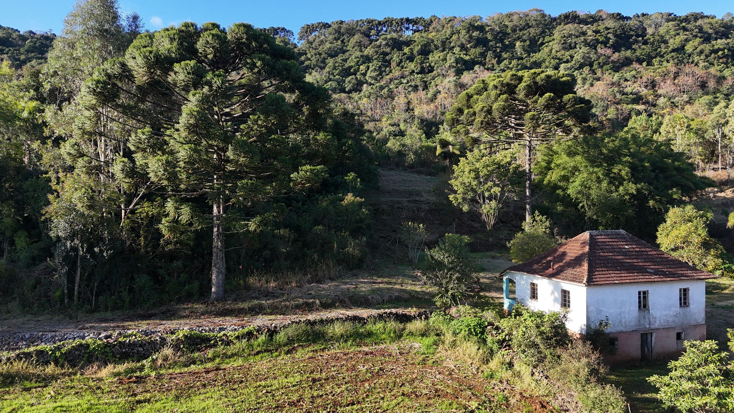 Lote para venda no bairro Campestre do Tigre em Gramado