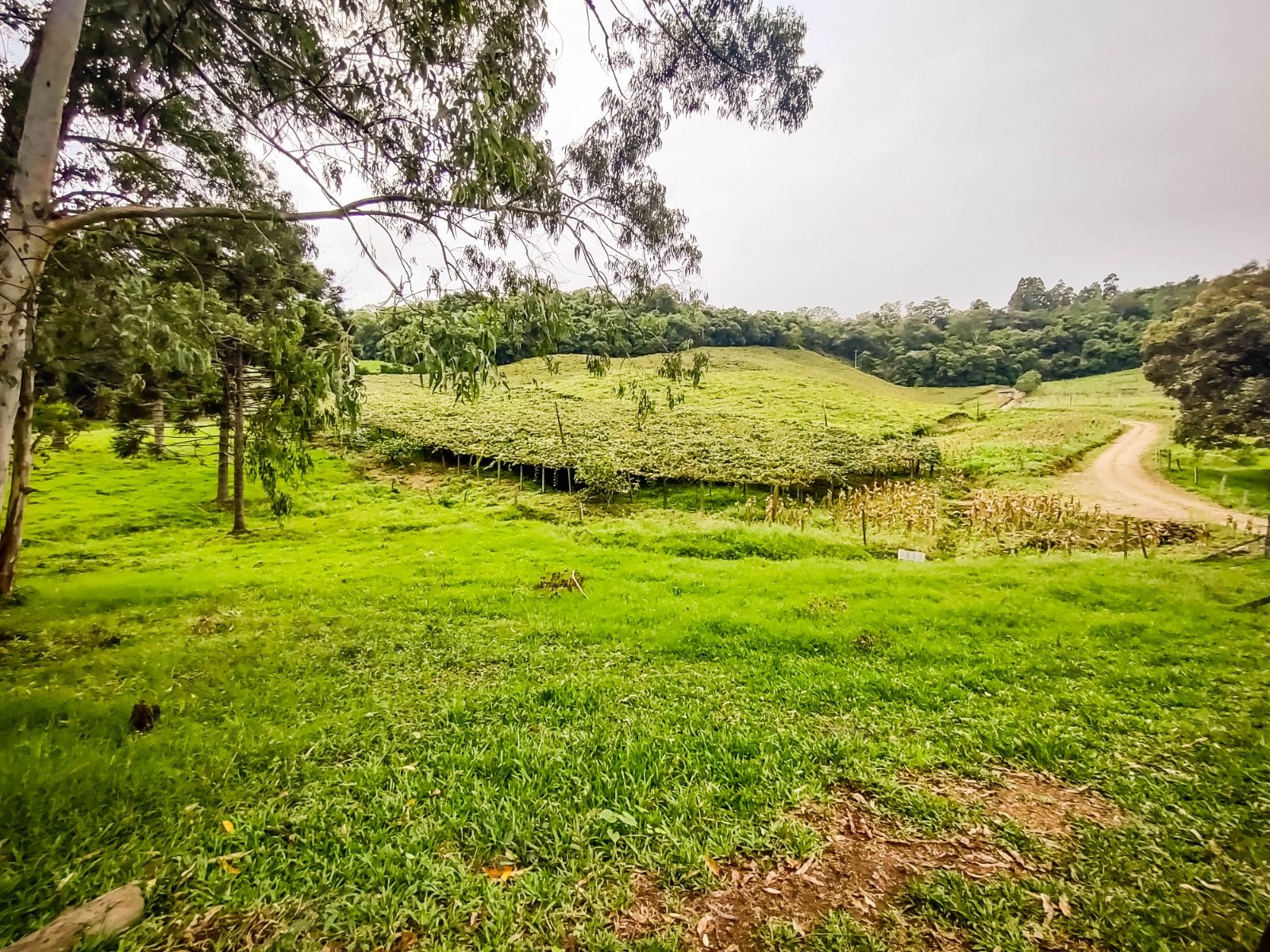 Terreno para venda no bairro São Valentim em Bento Gonçalves