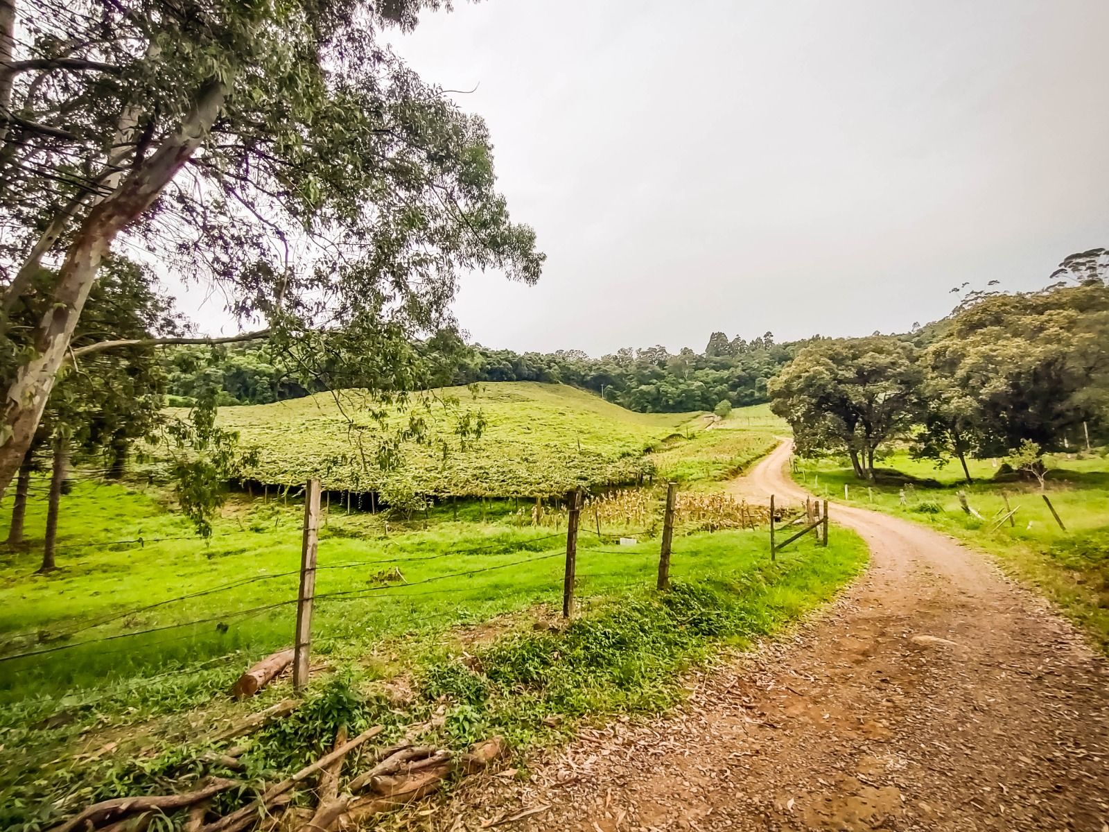 Terreno para venda no bairro São Valentim em Bento Gonçalves
