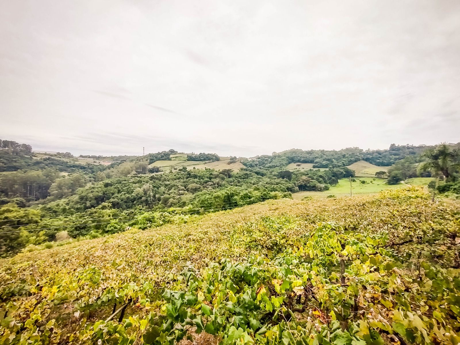 Terreno para venda no bairro São Valentim em Bento Gonçalves