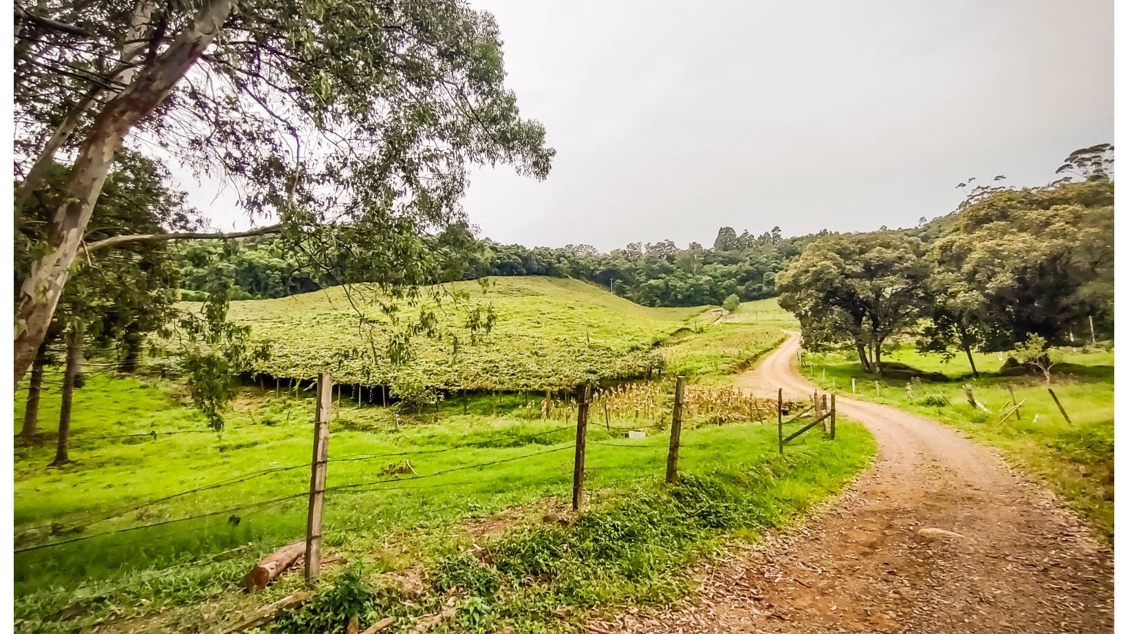 Terreno para venda no bairro São Valentim em Bento Gonçalves