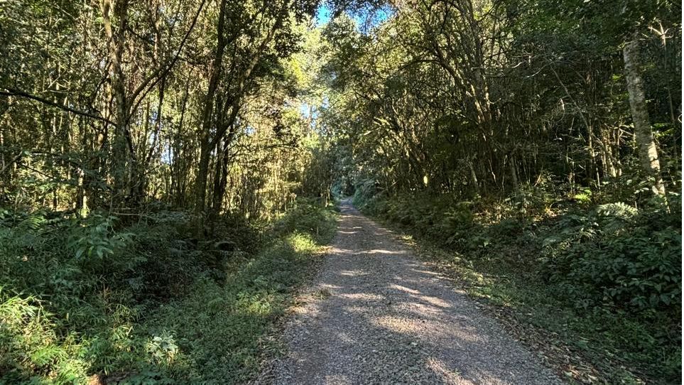 Chácara para venda no bairro Fazenda Souza em Caxias do Sul