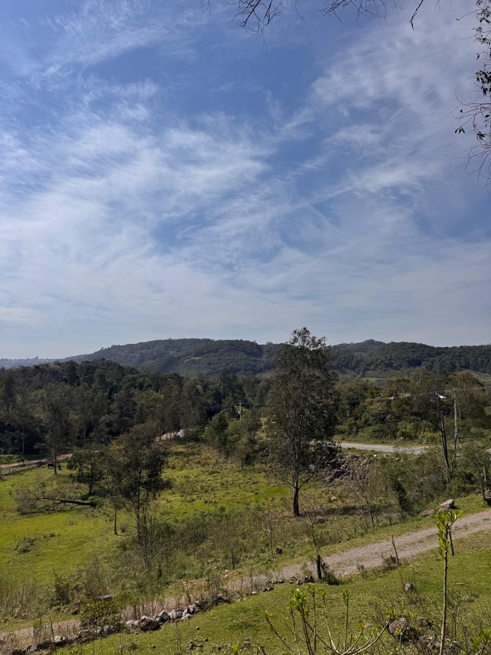 Terreno para venda no bairro Forqueta  em Caxias do Sul