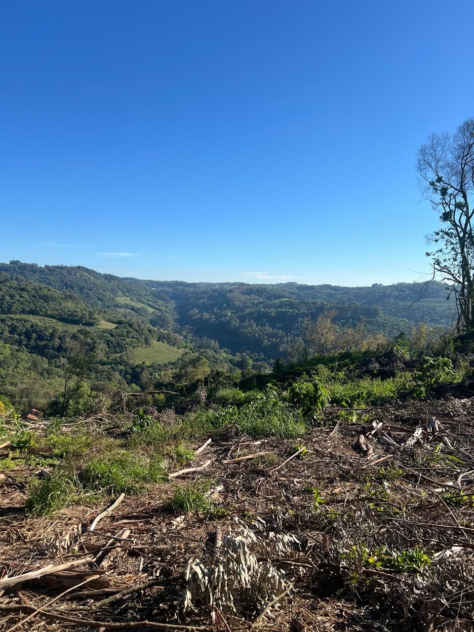 Fazenda para venda no bairro  em Farroupilha